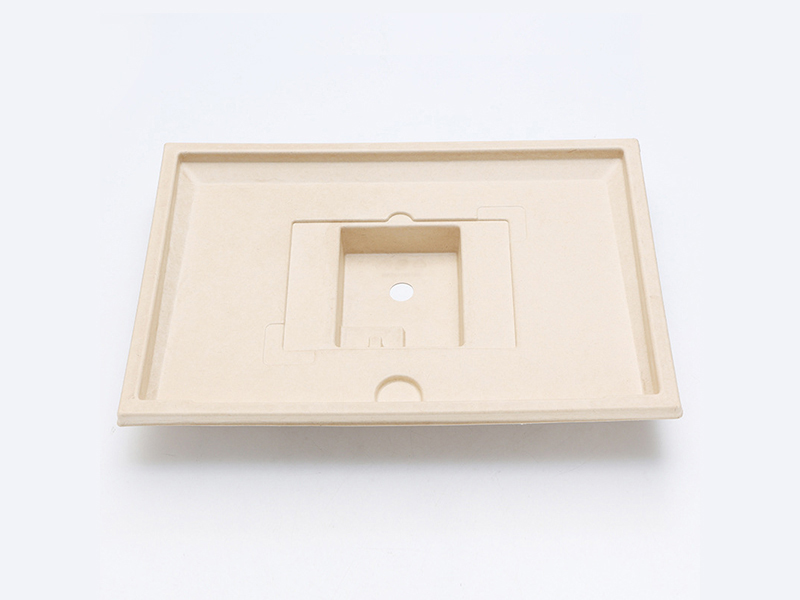 国内纸托行业存在着哪些问题？